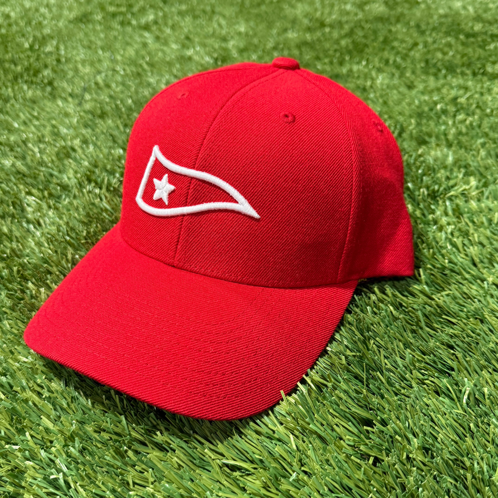 LGDB Pennant Snapback