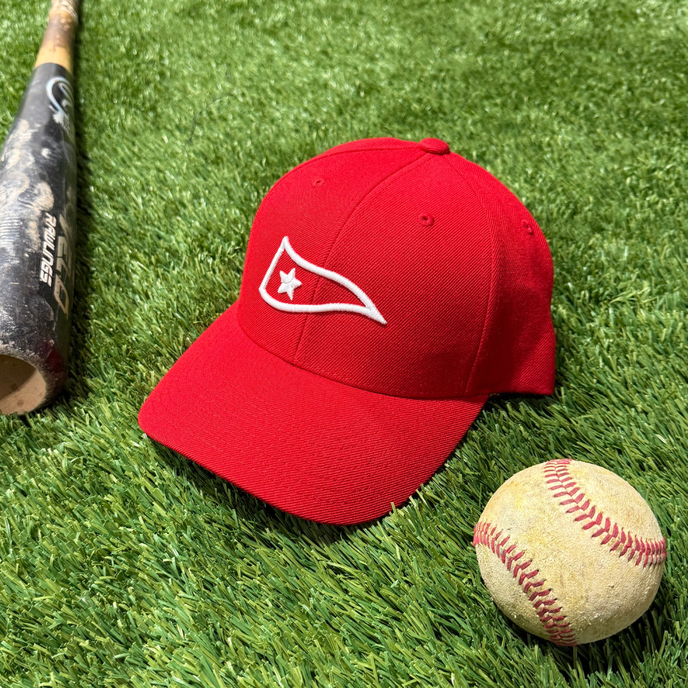 LGDB Pennant Snapback