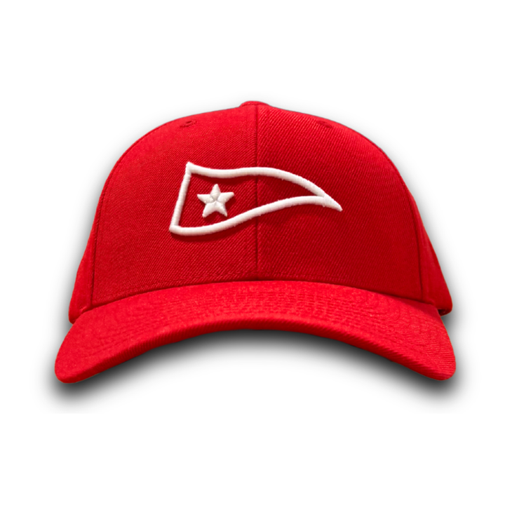 LGDB Pennant Snapback